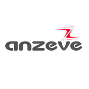 logo anzeve